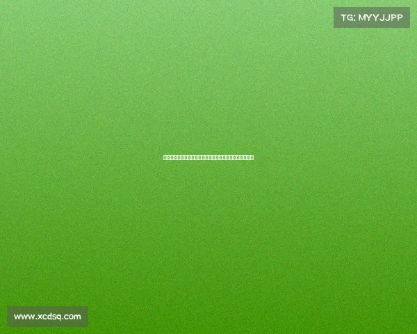 迪马：马蒂奇与萨索洛主帅格罗索会面或将重返意大利踢球