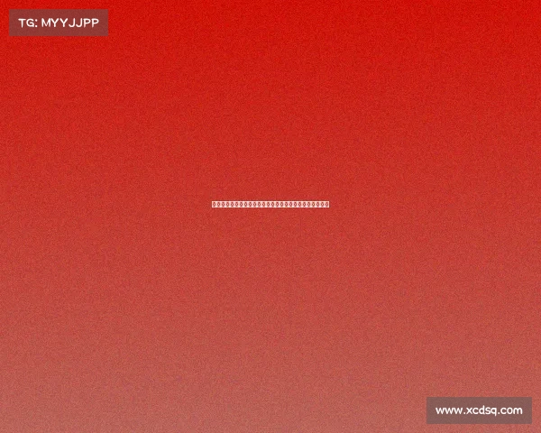 澳大利亚牛仔在国际牧人竞技大赛中展现卓越技艺勇夺佳绩