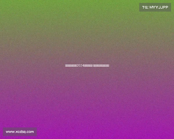 美国成功联合举办2024年美洲杯赛事 创下历史最高收入新纪录